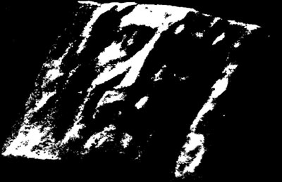 Объемное изображение Лика Спасителя,
            полученное с помощью компьютерной обработки отпечатка на Плащанице